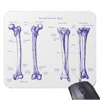 Bones of the human lower limb, mouse mats