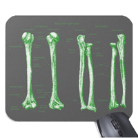 Bones of the human lower limb, mouse mats