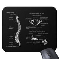 bones of the human body, mouse mats