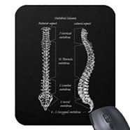 bones of the human body, mouse mats