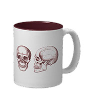 Details of the human skull singularly and in groups, in various colors and arrangements. Mugs and other drinkware.