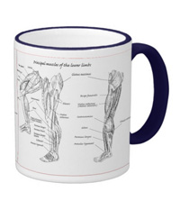 Bones of the human lower limb, mugs