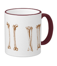 Bones of the human lower limb, mugs