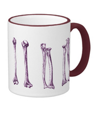 Bones of the human lower limb, mugs