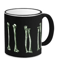 Bones of the human lower limb, mugs