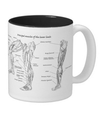 Bones of the human lower limb, mugs