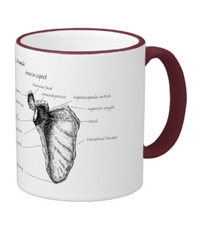 bones of the human body, mugs