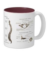 bones of the human body, mugs