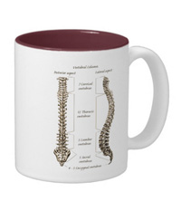 bones of the human body, mugs