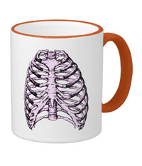 bones of the human body, mugs