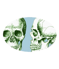 Details of the human skull singularly and in groups, in various colors and arrangements. Stickers and paper.