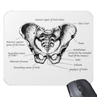 bones of the human body, mouse mats