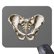 bones of the human body, mouse mats