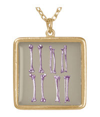 Bones of the human lower limb, pendants