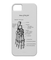 Phone covers with bones of the human foot