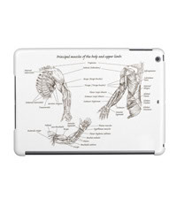 Bones of the human lower limb, covers