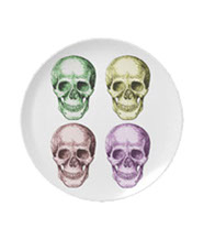 Details of the human skull singularly and in groups, in various colors and arrangements. Melamine plates