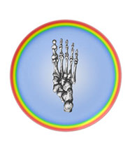 Party Plates with human foot bone designs