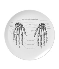 Bones of the human hand plates