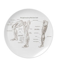 Bones of the human lower limb, plates