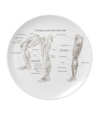 Bones of the human lower limb, plates