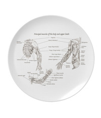 Bones of the human lower limb, plates