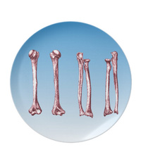 Bones of the human lower limb, plates