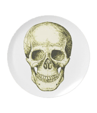 Details of the human skull singularly and in groups, in various colors and arrangements. Melamine plates