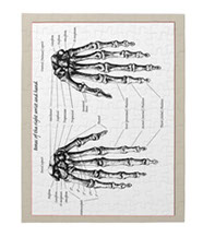 Bones of the human hand jigsaw puzzles