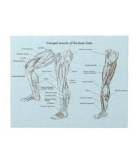 Bones of the human lower limb, jigsaw puzzles