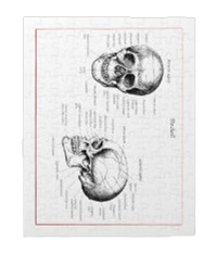 Details of the human skull singularly and in groups, in various colors and arrangements. Jigsaw puzzles