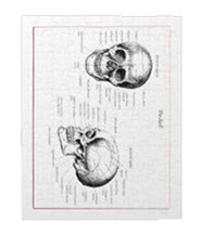 Details of the human skull singularly and in groups, in various colors and arrangements. Jigsaw puzzles