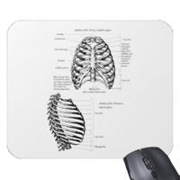 bones of the human body, mouse mats