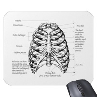 bones of the human body, mouse mats