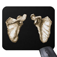 bones of the human body, mouse mats