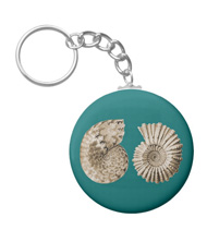 Keychains with shell designs, based on the drawings of Ernst Haeckel