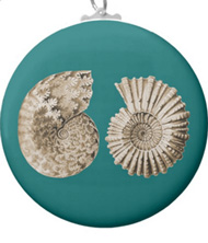 Keychains with shell designs, based on the drawings of Ernst Haeckel