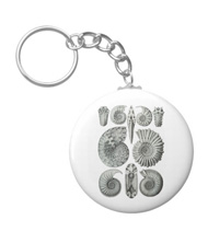 Keychains with shell designs, based on the drawings of Ernst Haeckel