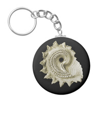 Keychains with shell designs, based on the drawings of Ernst Haeckel