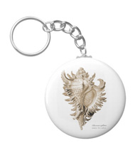 Keychains with shell designs, based on the drawings of Ernst Haeckel