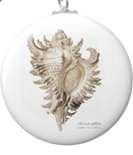 Keychains with shell designs, based on the drawings of Ernst Haeckel