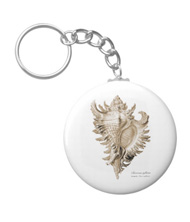 Keychains with shell designs, based on the drawings of Ernst Haeckel