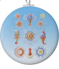 Keychains with jellyfish designs, based on the drawings of Ernst Haeckel