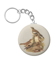 Keychains with bird drawings from the works of John Gould 