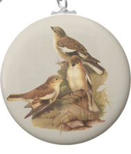 Keychains with bird drawings from the works of John Gould 