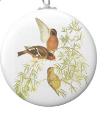 Keychains with bird drawings from the works of John Gould 