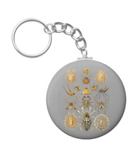 Keychains with spider designs, based on the drawings of Ernst Haeckel