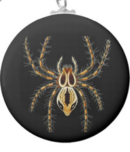 Keychains with spider designs, based on the drawings of Ernst Haeckel