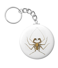 Keychains with spider designs, based on the drawings of Ernst Haeckel