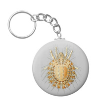 Keychains with spider designs, based on the drawings of Ernst Haeckel